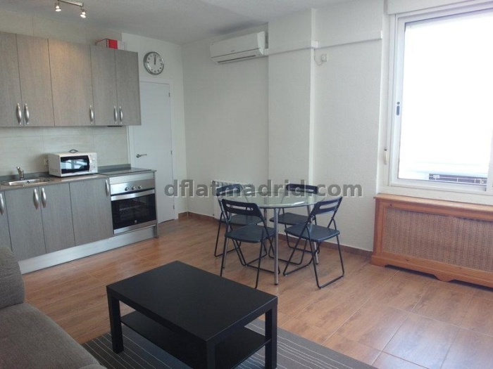 Apartamento Luminoso en Chamartin de 1 Dormitorio #188 en Madrid