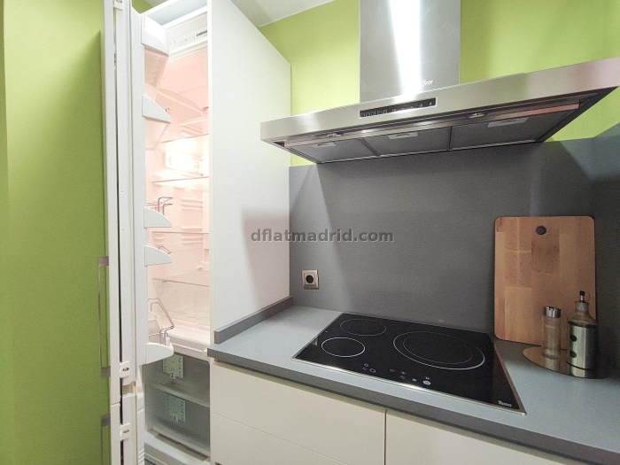 Apartamento Luminoso en Chamartin de 2 Dormitorios #225 en Madrid