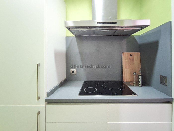 Apartamento Luminoso en Chamartin de 2 Dormitorios #225 en Madrid