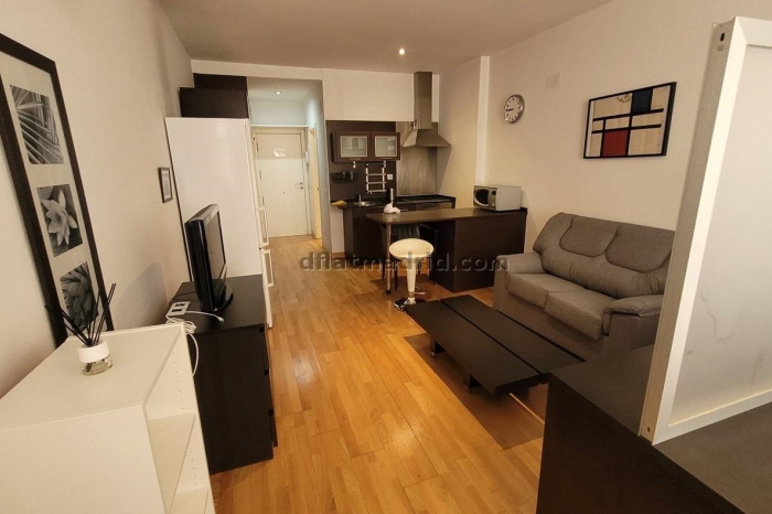 Bright Studio in Villa de Vallecas #269 in Madrid