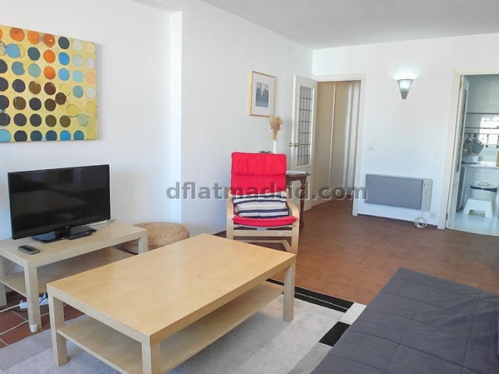 Apartamento Céntrico en Salamanca de 1 Dormitorio #323 en Madrid