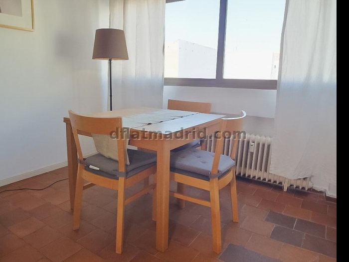 Central Apartment in Salamanca of 1 Bedroom #323 in Madrid