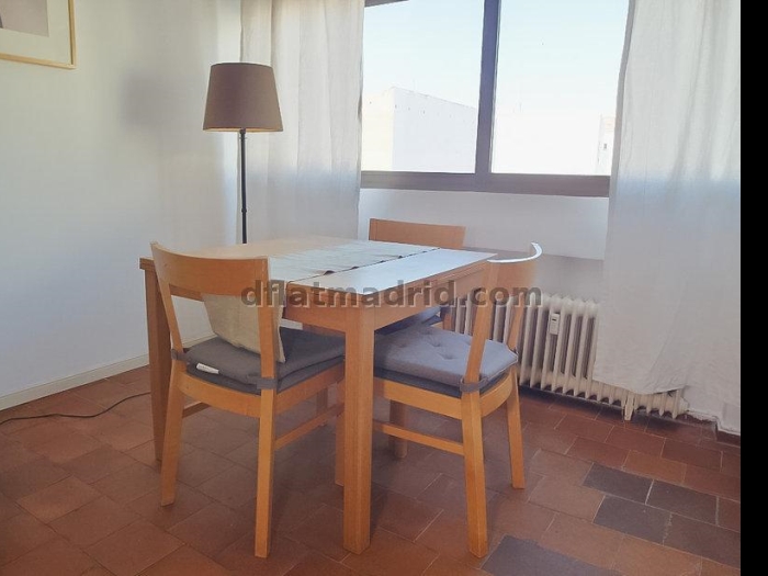 Apartamento Céntrico en Salamanca de 1 Dormitorio #323 en Madrid