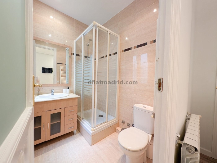 Central Apartment in Salamanca of 2 Bedrooms #326 in Madrid