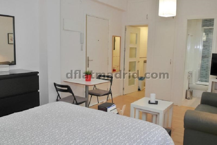 Central Studio in Salamanca #369 in Madrid