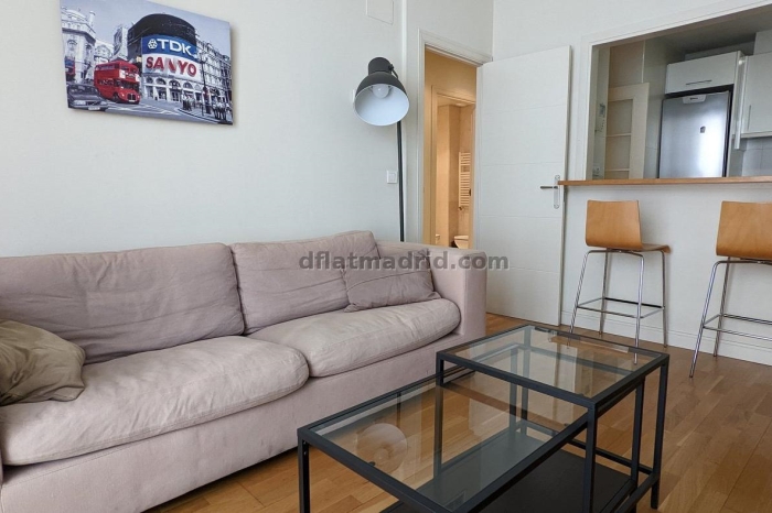 Apartamento Tranquilo en Chamartin de 1 Dormitorio #537 en Madrid