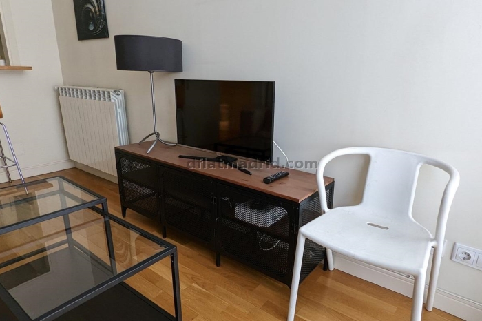 Apartamento Tranquilo en Chamartin de 1 Dormitorio #537 en Madrid