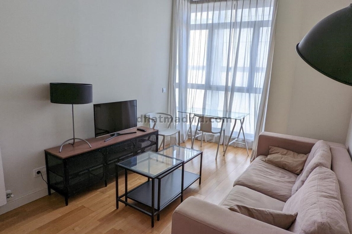 Apartamento Tranquilo en Chamartin de 1 Dormitorio #537 en Madrid