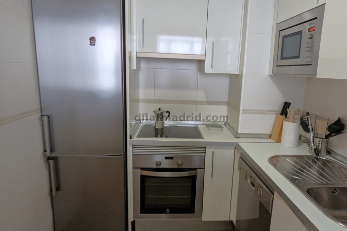 Apartamento Tranquilo en Chamartin de 1 Dormitorio #537 en Madrid