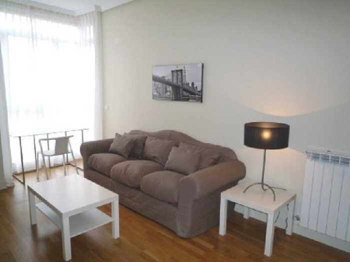 Apartamento Tranquilo en Chamartin de 1 Dormitorio #542 en Madrid