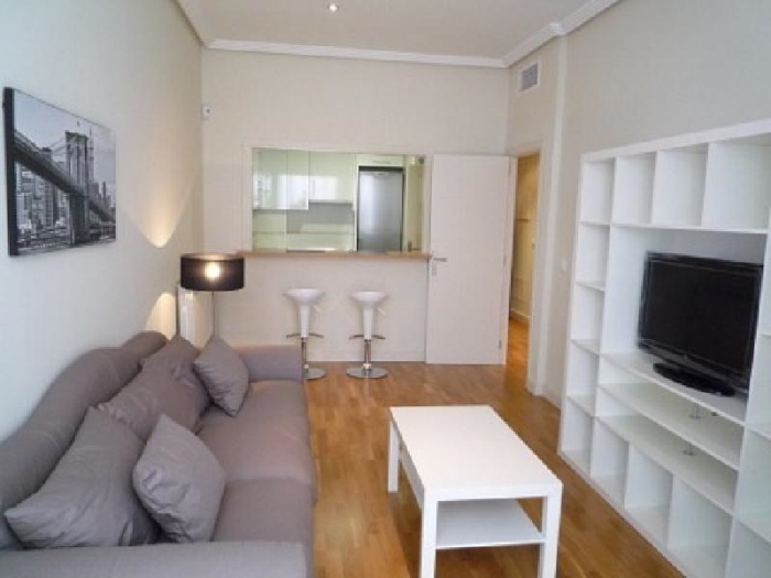 Apartamento Tranquilo en Chamartin de 1 Dormitorio #542 en Madrid