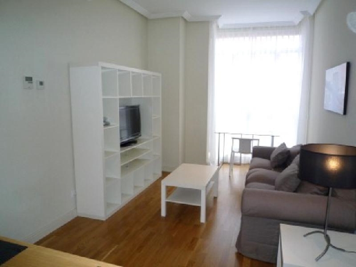 Apartamento Tranquilo en Chamartin de 1 Dormitorio #542 en Madrid