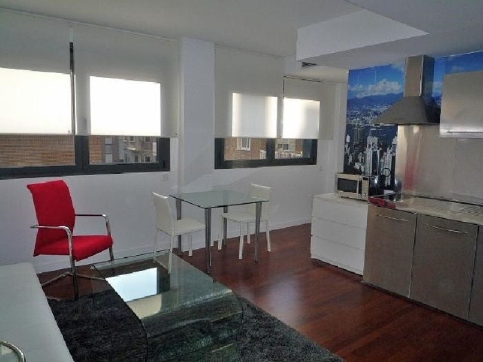 Apartamento Luminoso en Chamartin de 1 Dormitorio #543 en Madrid