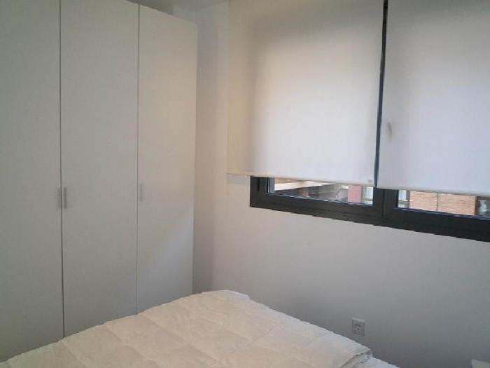 Bright Apartment in Chamartin of 1 Bedroom #543 in Madrid
