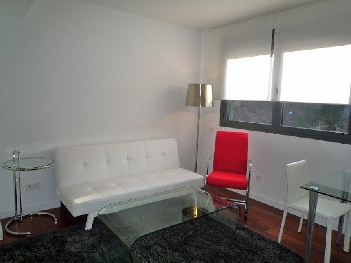 Apartamento Luminoso en Chamartin de 1 Dormitorio #543 en Madrid