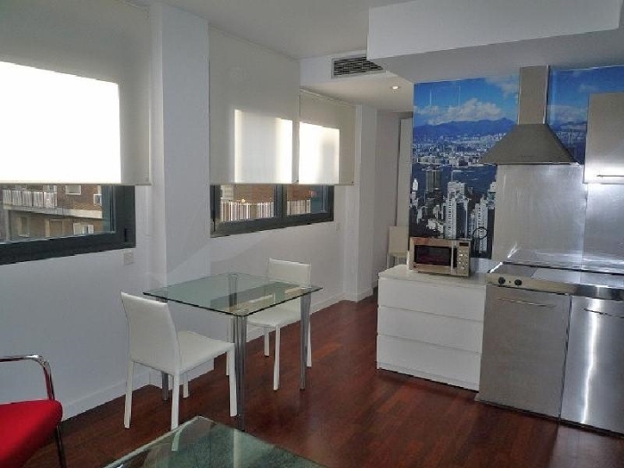 Apartamento Luminoso en Chamartin de 1 Dormitorio #543 en Madrid