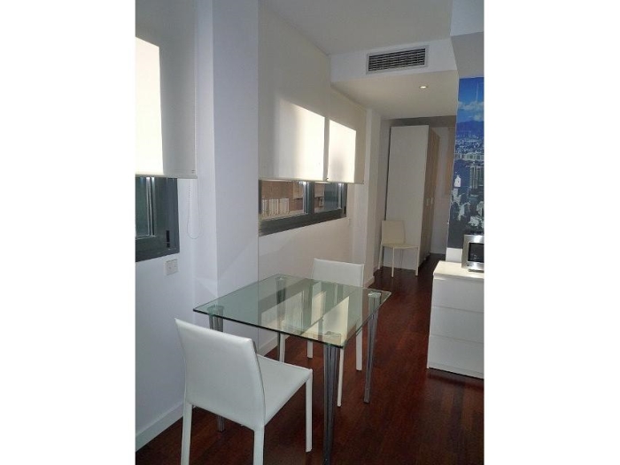 Apartamento Luminoso en Chamartin de 1 Dormitorio #543 en Madrid