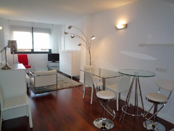 Apartamento Tranquilo en Chamartin de 1 Dormitorio #544 en Madrid