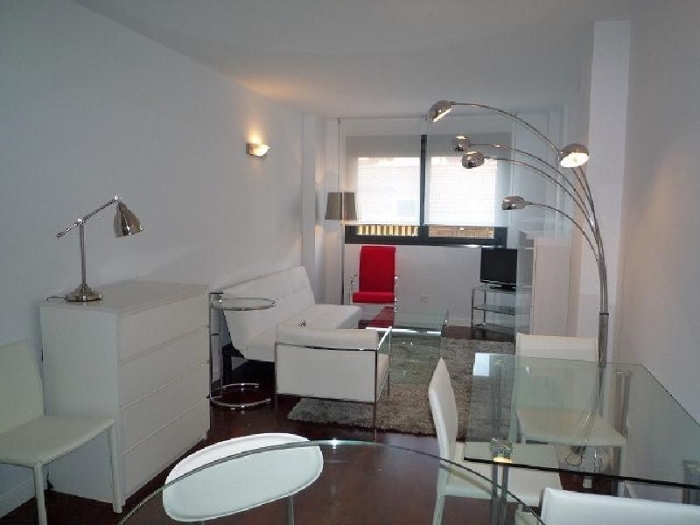 Apartamento Tranquilo en Chamartin de 1 Dormitorio #544 en Madrid