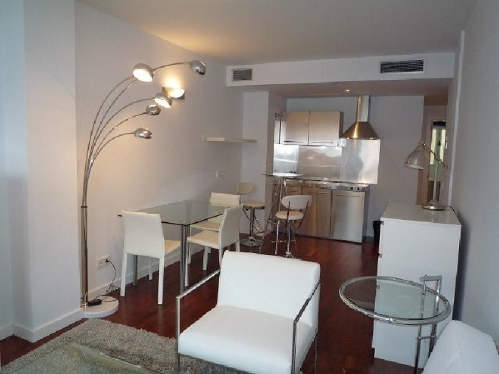 Apartamento Tranquilo en Chamartin de 1 Dormitorio #544 en Madrid