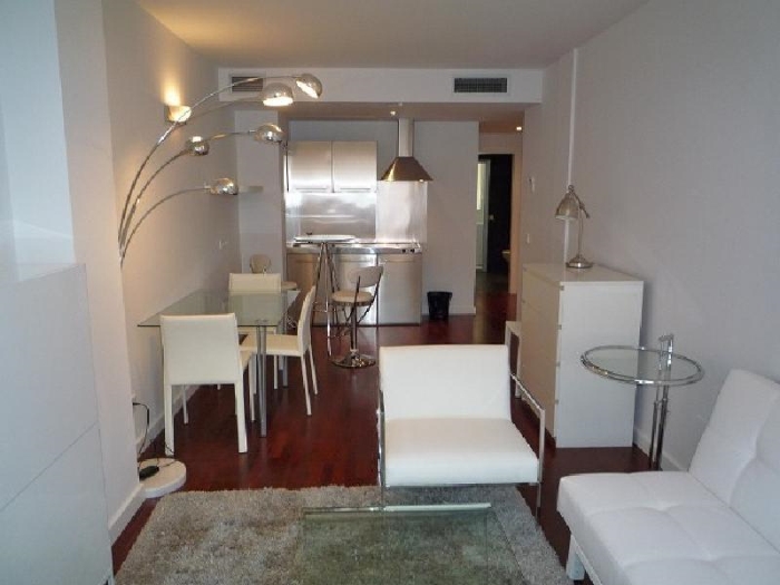 Apartamento Tranquilo en Chamartin de 1 Dormitorio #544 en Madrid