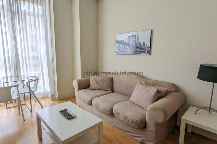 Apartamento Tranquilo en Chamartin de 1 Dormitorio #545 en Madrid