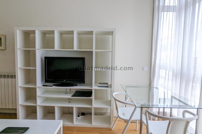 Apartamento Tranquilo en Chamartin de 1 Dormitorio #545 en Madrid