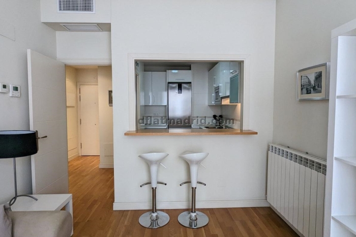 Apartamento Tranquilo en Chamartin de 1 Dormitorio #545 en Madrid