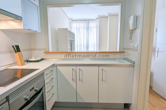 Apartamento Tranquilo en Chamartin de 1 Dormitorio #545 en Madrid