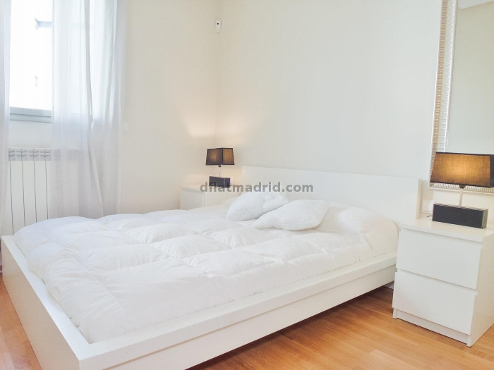 Apartamento Tranquilo en Chamartin de 1 Dormitorio #550 en Madrid