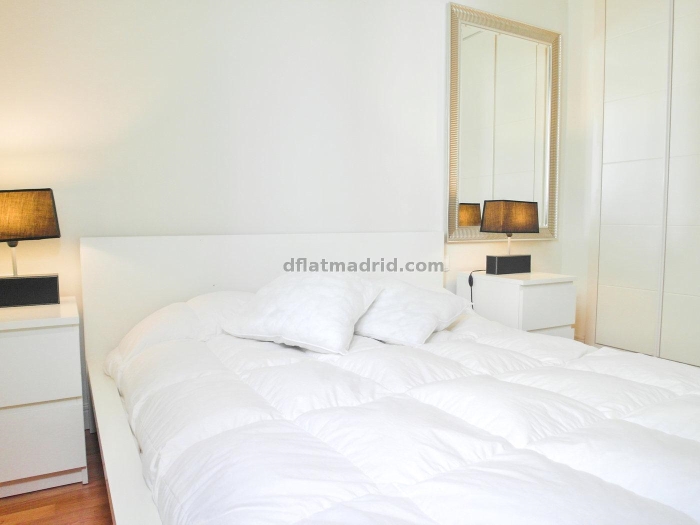 Apartamento Tranquilo en Chamartin de 1 Dormitorio #550 en Madrid