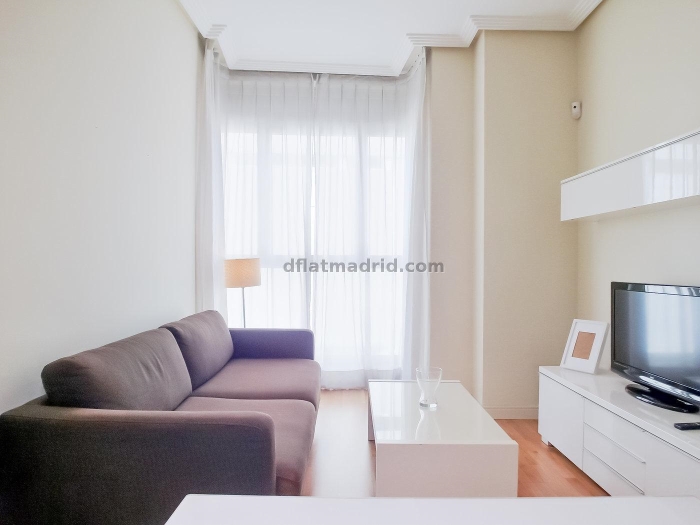 Apartamento Tranquilo en Chamartin de 1 Dormitorio #550 en Madrid