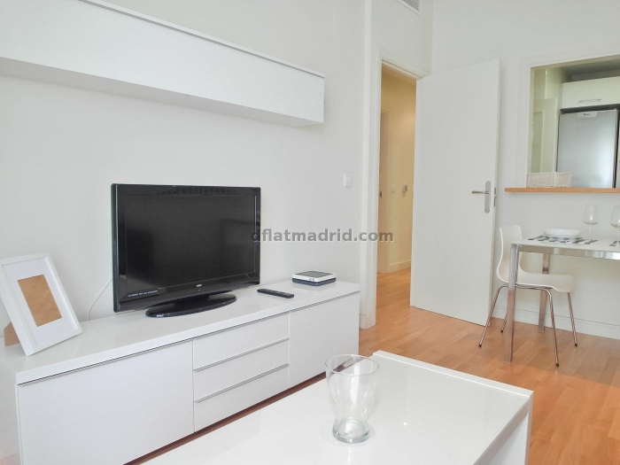 Apartamento Tranquilo en Chamartin de 1 Dormitorio #550 en Madrid