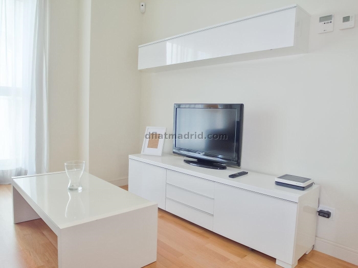 Apartamento Tranquilo en Chamartin de 1 Dormitorio #550 en Madrid