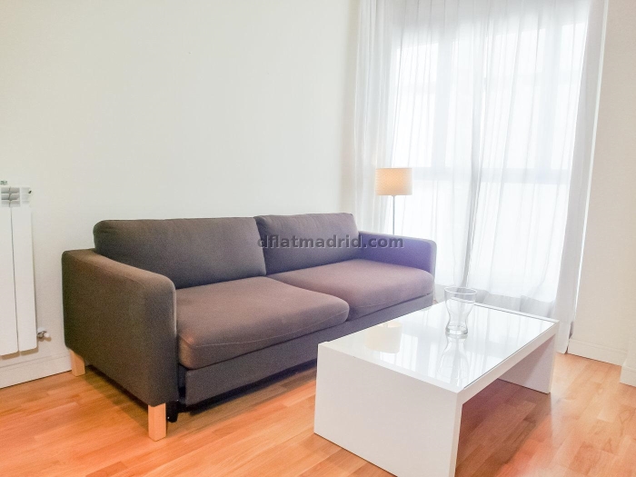 Apartamento Tranquilo en Chamartin de 1 Dormitorio #550 en Madrid