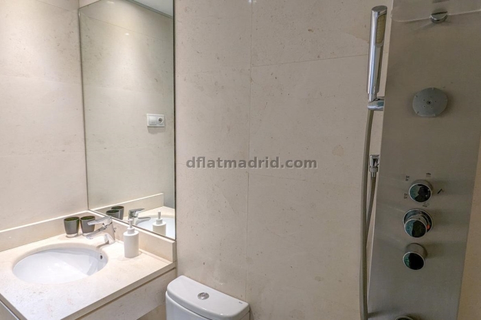 Apartamento Tranquilo en Chamartin de 1 Dormitorio #555 en Madrid