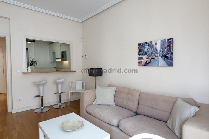 Apartamento Tranquilo en Chamartin de 1 Dormitorio #555 en Madrid