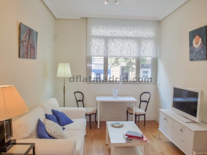 Apartamento Tranquilo en Chamartin de 1 Dormitorio #558 en Madrid