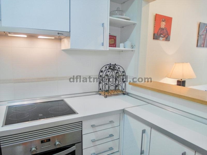 Apartamento Tranquilo en Chamartin de 1 Dormitorio #558 en Madrid