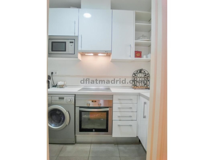 Apartamento Tranquilo en Chamartin de 1 Dormitorio #558 en Madrid