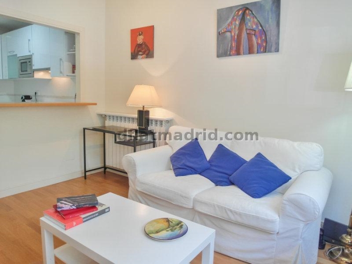 Apartamento Tranquilo en Chamartin de 1 Dormitorio #558 en Madrid