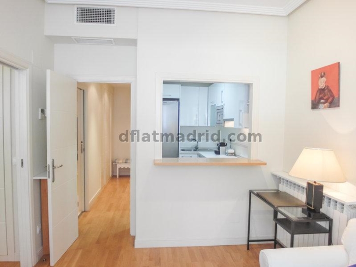 Apartamento Tranquilo en Chamartin de 1 Dormitorio #558 en Madrid