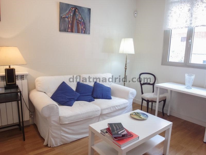 Apartamento Tranquilo en Chamartin de 1 Dormitorio #558 en Madrid