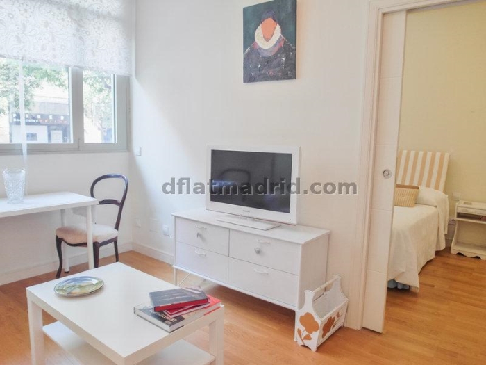 Apartamento Tranquilo en Chamartin de 1 Dormitorio #558 en Madrid