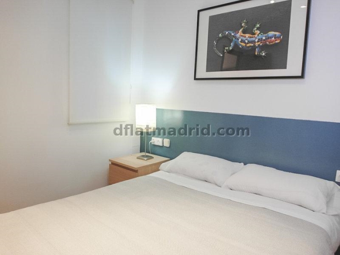 Apartamento Céntrico en Salamanca de 2 Dormitorios #631 en Madrid