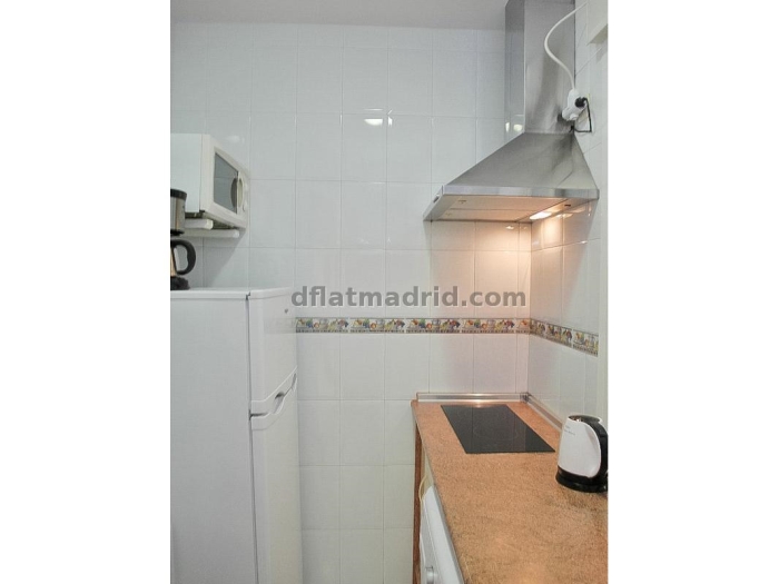 Apartamento Céntrico en Salamanca de 2 Dormitorios #631 en Madrid