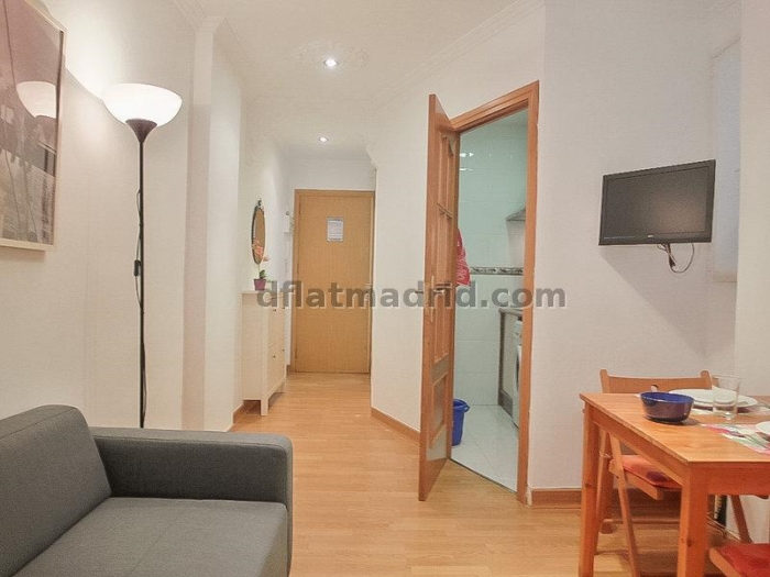 Apartamento Céntrico en Salamanca de 2 Dormitorios #631 en Madrid