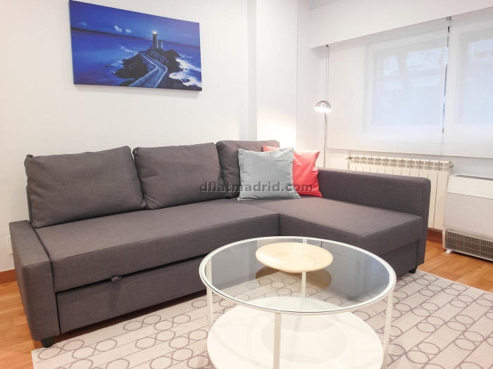 Central Apartment in Salamanca of 1 Bedroom #746 in Madrid