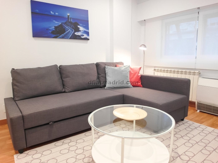 Apartamento exterior en Goya de 1 Dormitorio #746 en Madrid