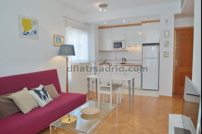 Apartamento Luminoso en Chamartin de 1 Dormitorio #747 en Madrid